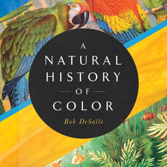 A Natural History of Color - cover