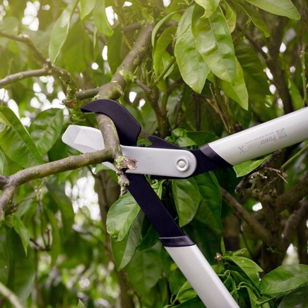 Fiskars Coupe-branches PowerGear X Bypass LX94 - M - 64 cm