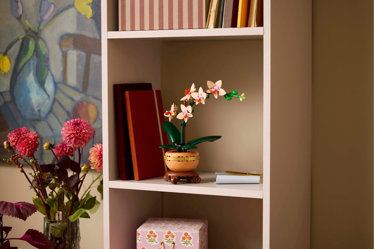 LEGO Botanicals Mini orchidee - 10343 — afbeelding 18