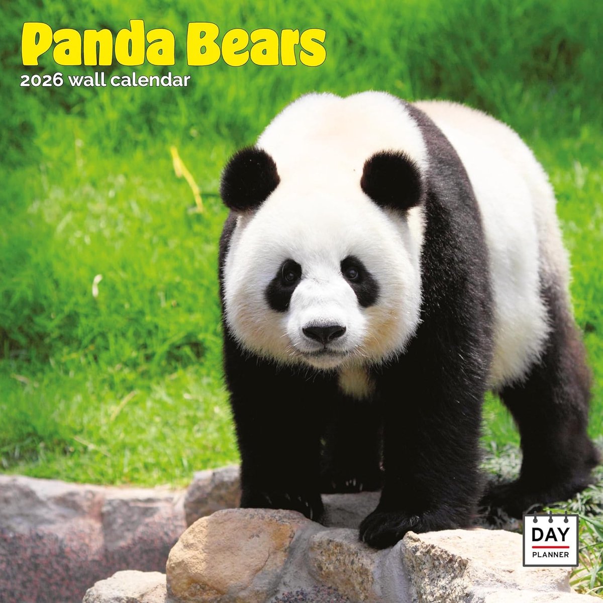 Panda Kalender 2027