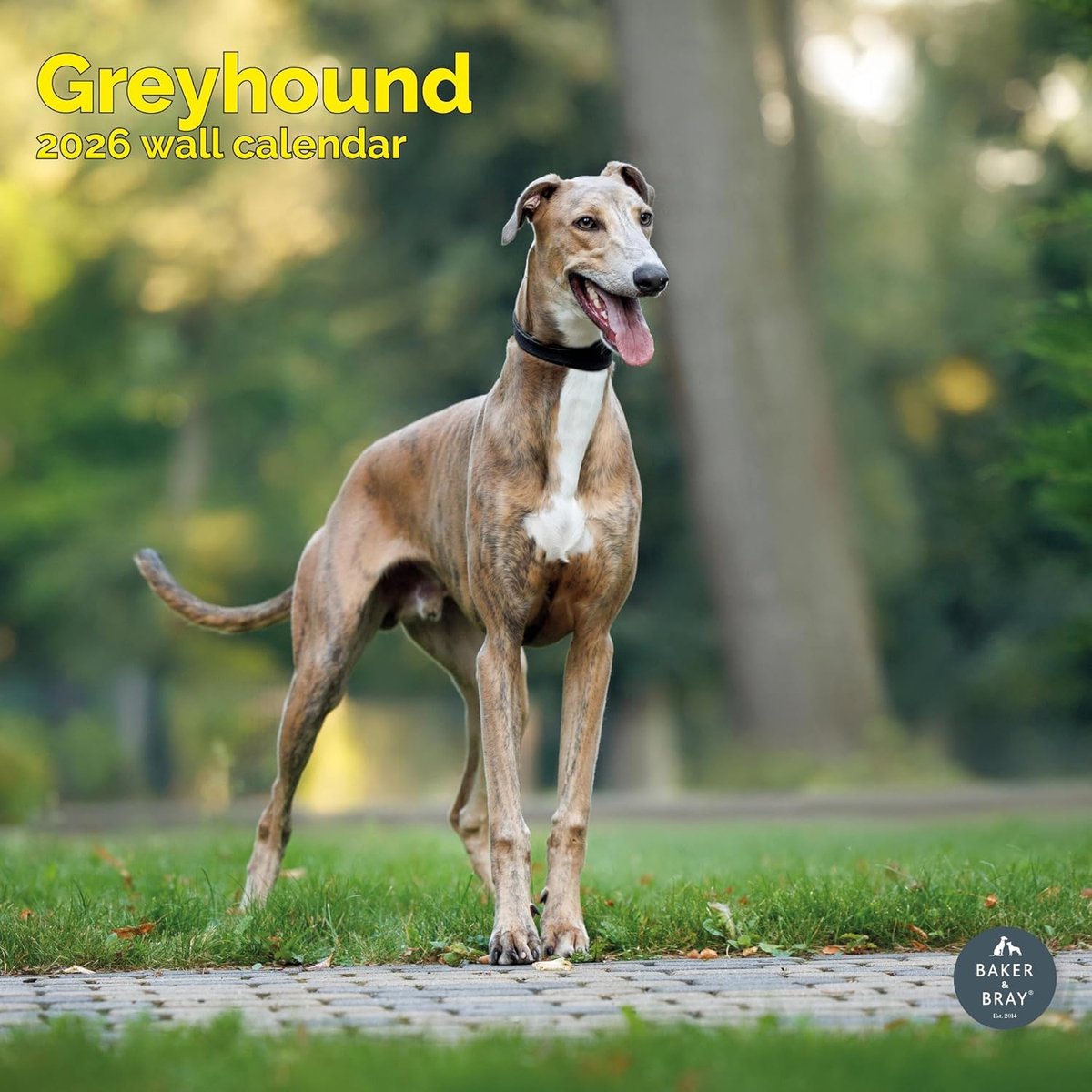 Greyhound Kalender 2027
