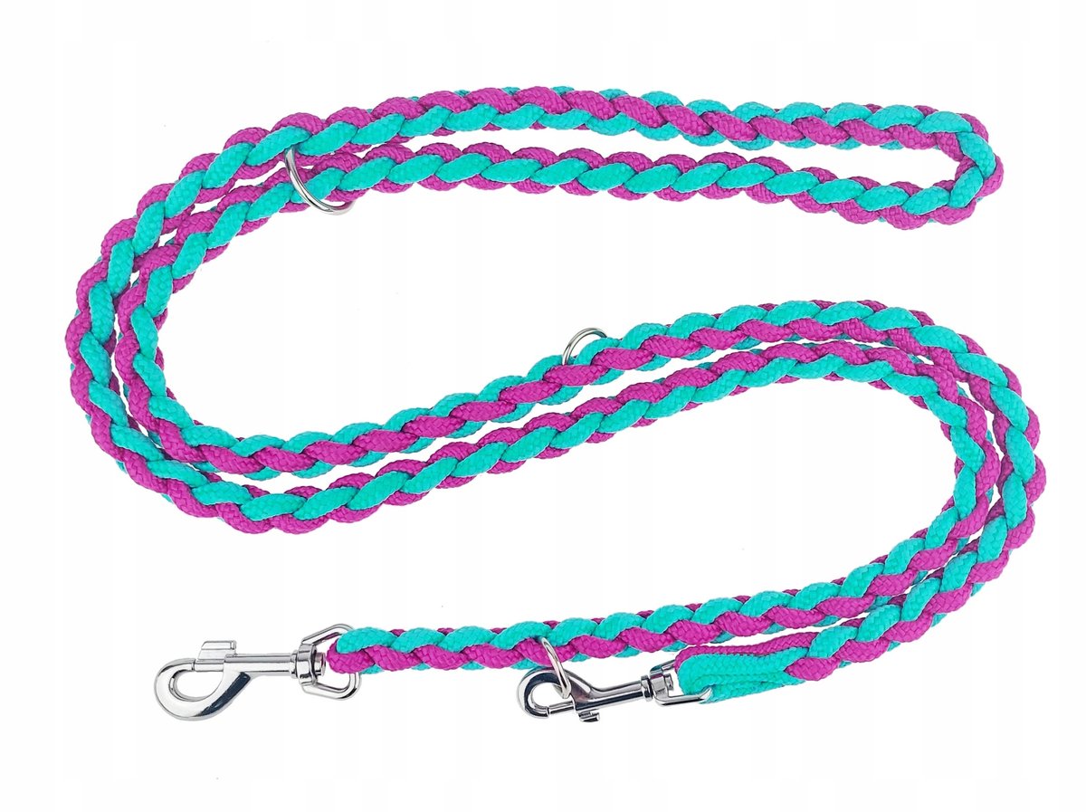 Champion Hondenlijn Gevlochten 2,5m Blauw Roze Verstelbaar