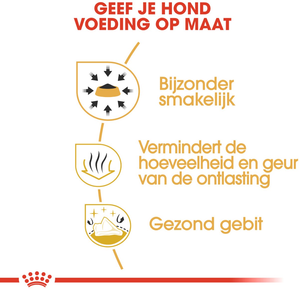 Royal Canin Chihuahua Adult - Voeding voor kieskeurige kleine honden thumbnail 3