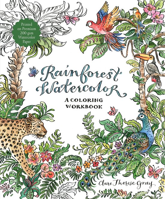 Rainforest Watercolor - cover