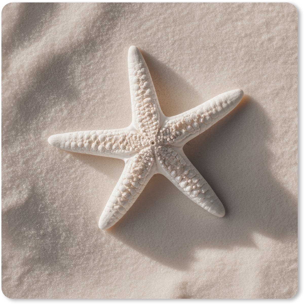 Muismat 20x20 cm - Mousepad Strand - Zeester - Zand - Beige - Muismatten