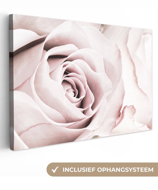 Peinture sur toile Fleurs - Rose - Rose - Botanique - 60x40 cm - Décoration murale