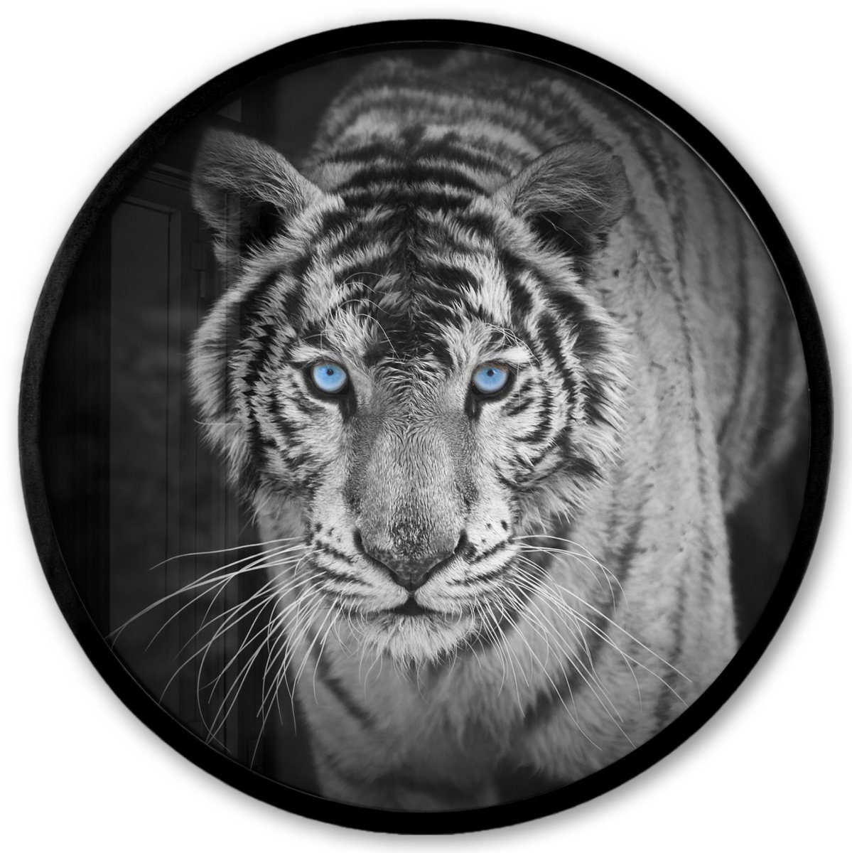 FrameYourWall Poster in lijst Rond - Fotolijst 40x40 cm - Posters - Tijger - Dier - Zwart - Blauw - Modern - Ronde posterlijst zwart - Decoratie - Wanddecoratie woonkamer - Muurdecoratie slaapkamer