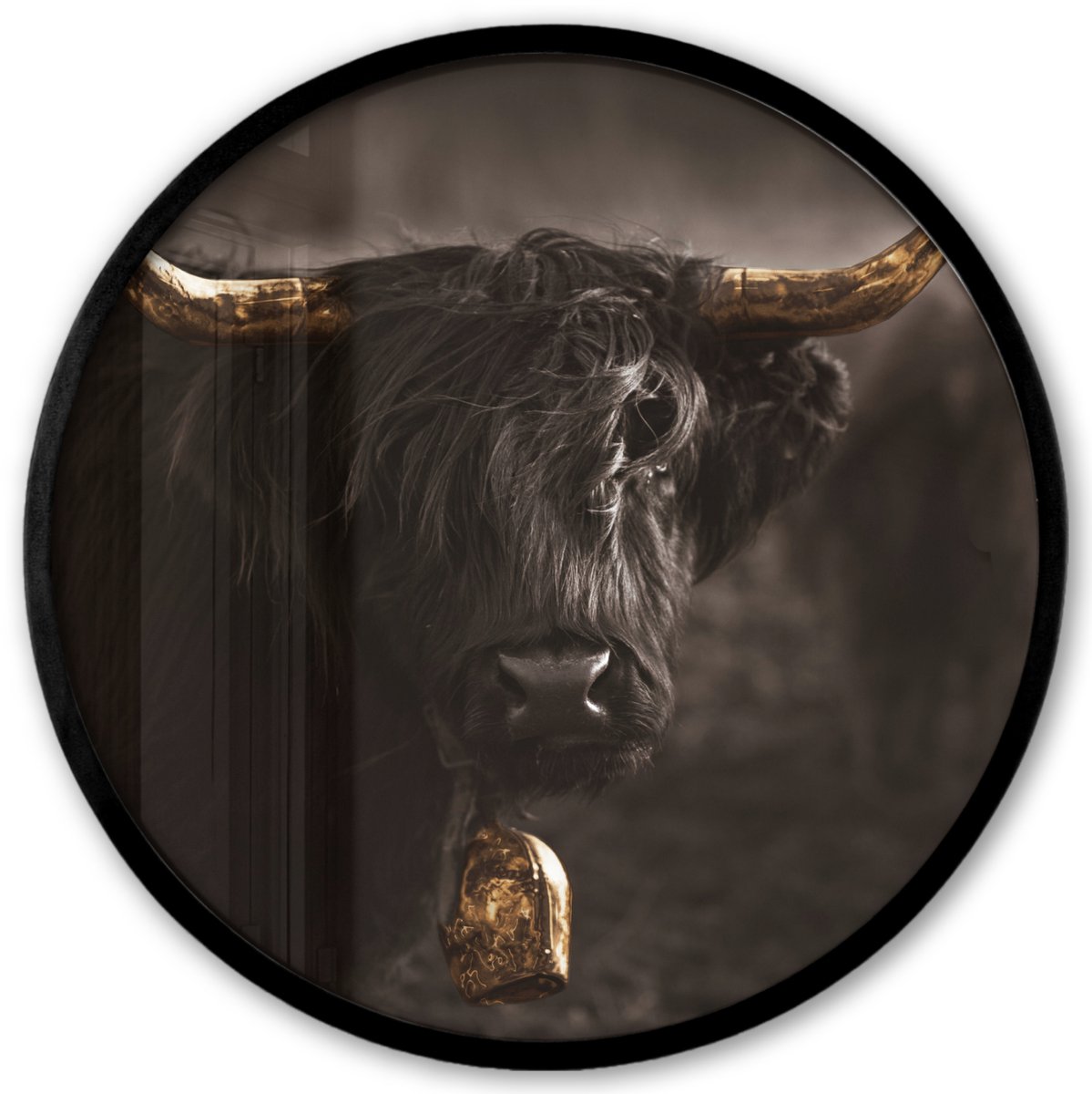 FrameYourWall Poster in lijst Rond - Fotolijst 40x40 cm - Posters - Schotse hooglander - Goud - Koebel - Hoorns - Dieren - Ronde posterlijst zwart - Decoratie - Wanddecoratie woonkamer - Muurdecoratie slaapkamer