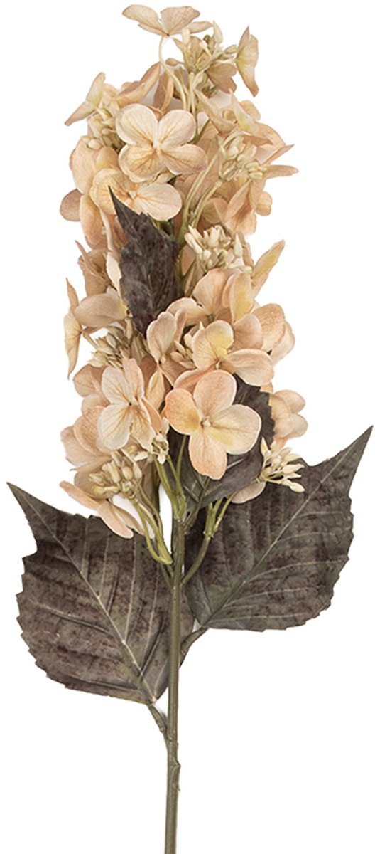 Decoratie Tak - Zijden 8x8x72 cm Beige Kunststof Kunstbloemen