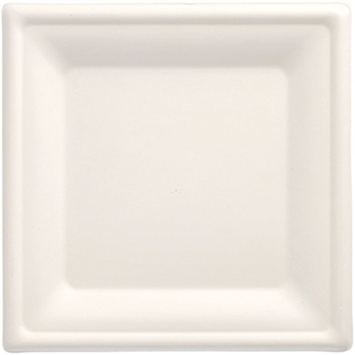 1x 100 Borden van suikerriet pure hoekig 20 cm x 20 cm wit