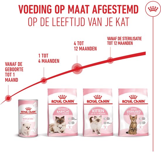 Een lijn met cirkels toont de voeding voor katten vanaf de geboorte tot 12 maanden. Er worden vier verschillende Royal Canin producten getoond: babycat milk, mother & babycat, kitten en kitten sterilised.