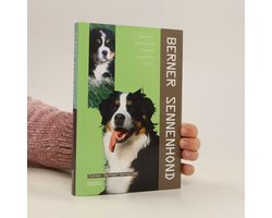 Berner Sennenhond