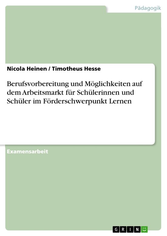 Berufsvorbereitung und Möglichkeiten auf dem Arbeitsmarkt f ... - cover