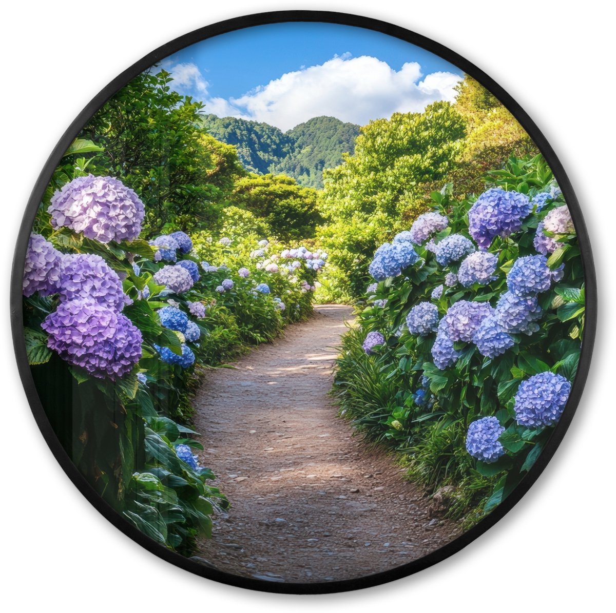 FrameYourWall Poster in lijst Rond - Fotolijst 80x80 cm - Posters - Hortsensia - Pad - Bloemen - Ronde posterlijst zwart - Decoratie - Wanddecoratie woonkamer - Muurdecoratie slaapkamer Hortensia - Pad