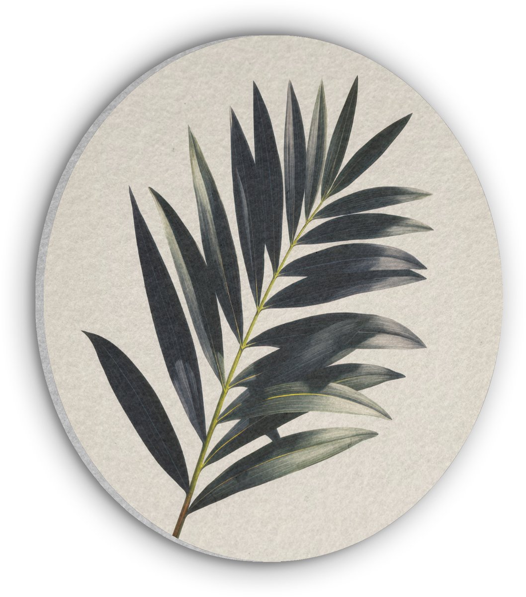 Akoestisch wandpaneel rond 70x70 cm - Vilt schilderij Palmblad - Subtiel - Groen - beige - Ronde akoestische panelen - Geluidsdempende wanddecoratie - Geluidsisolatie wandcirkel - Muurdecoratie geluidspanelen