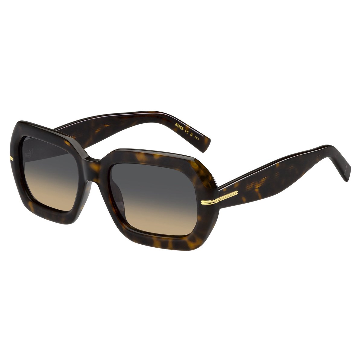 Zonnebrillen Hugo Boss Boss 1732/G/S 086/PR
