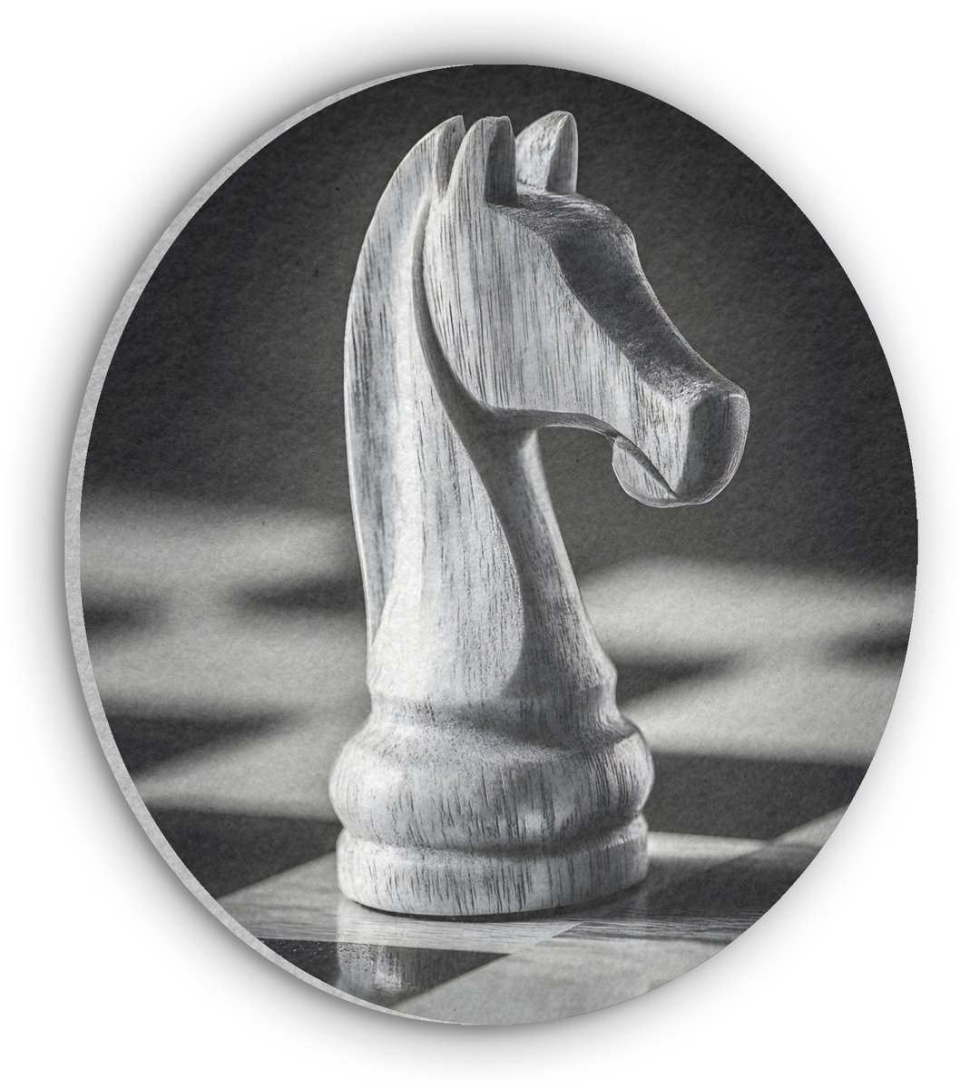Akoestisch wandpaneel rond 80x80 cm - Vilt schilderij Paard - Hout - Schaalbord - Zwart - Ronde akoestische panelen - Geluidsdempende wanddecoratie - Geluidsisolatie wandcirkel - Muurdecoratie geluidspanelen