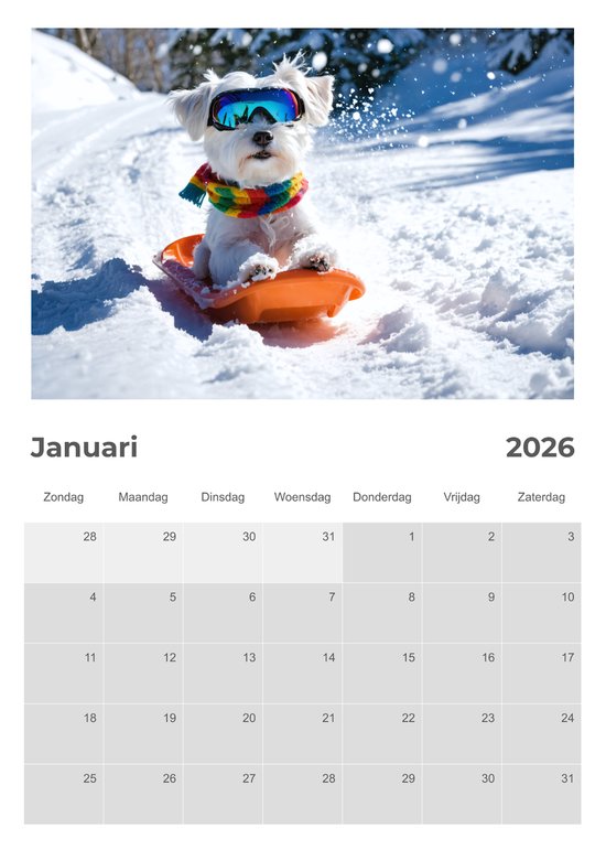 De jaarkalender 2026: Binnenkort beschikbaar
