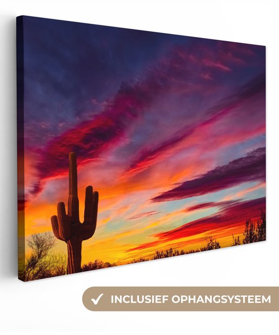 Tableau sur toile - Cactus - Coucher de soleil - Violet - Nature - Peintures sur toile - Tableau sur toile - 160x120 cm - Décoration murale - Chambre