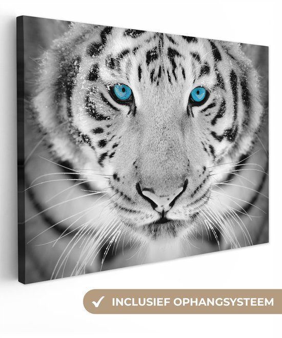 Toile - Animaux - Tigre - Yeux - Blauw - Décoration murale - 120x90 cm - Photo sur toile - Peintures sur toile