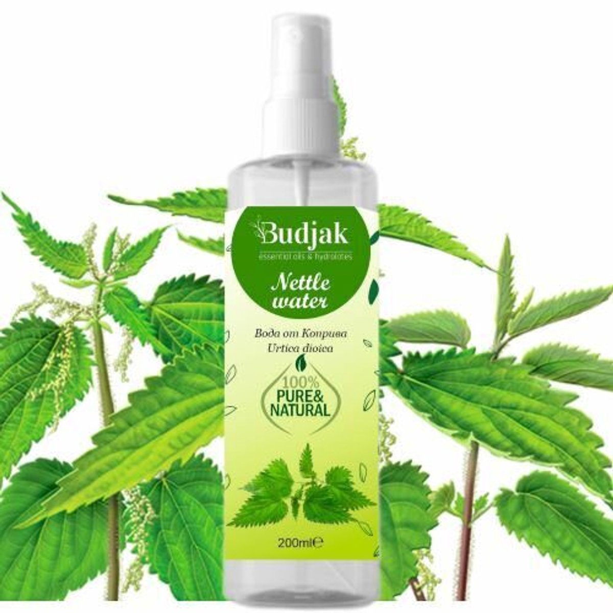 Bio Brandnetelbloemenwater (Urtica dioica) – 100% natuurlijk - herstelt de huid - ontgift en kalmeert 200ml