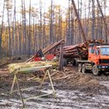 Zilverkleurige zaagbok met kettingzaag en boomstammen in een bosrijke omgeving met een vrachtwagen vol hout.
