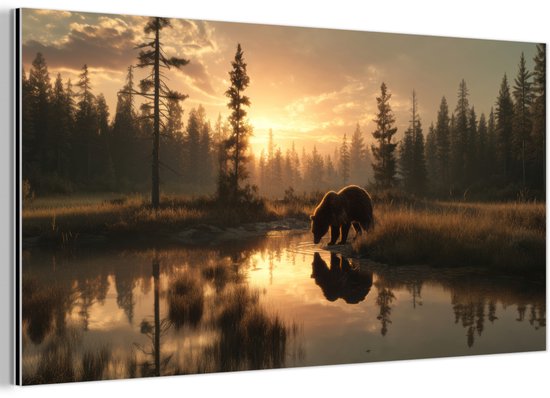 Een beer drinkt water aan de rand van een bosmeer bij zonsopgang. De gouden zonnestralen reflecteren in het water.