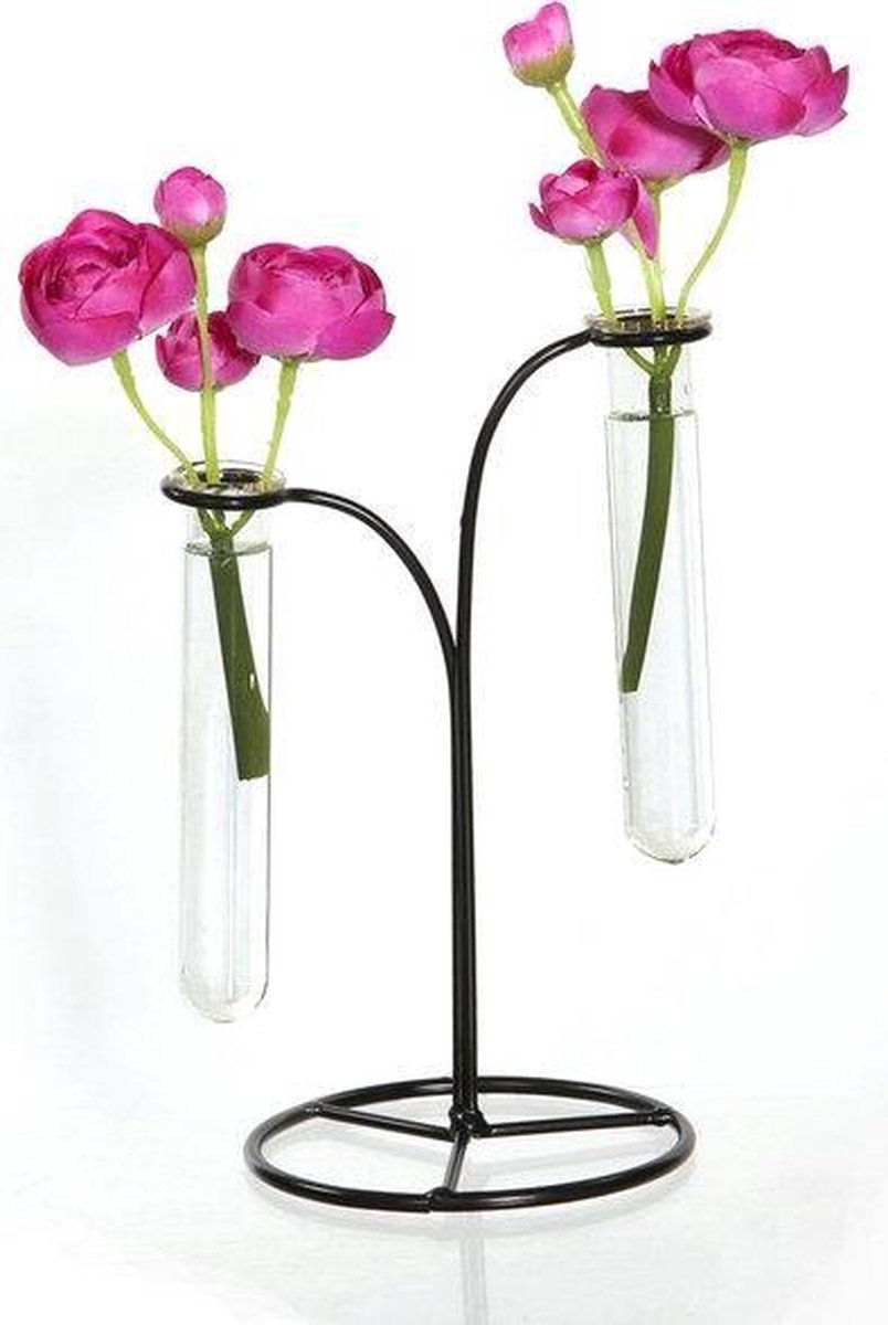 KWQBHW Vase tube à essai avec support en bois, 1 station de propagation en  verre transparent, vase à fleurs pour bureau, décoration d'intérieur :  : Cuisine et maison