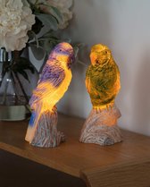 Papegaaien LED verlichting- set van 2- met flikkerfunctie- decoratie