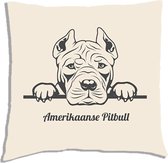 Amerikaanse pitbull kussen - Wit