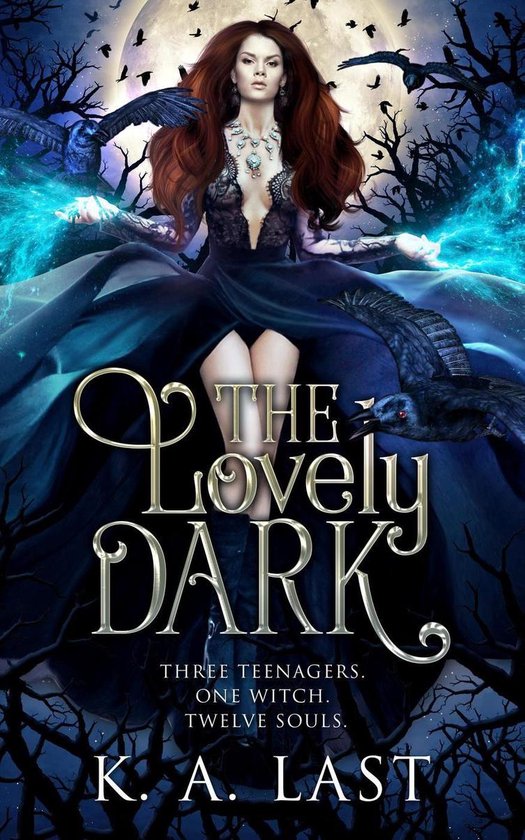 The Lovely Dark - cover