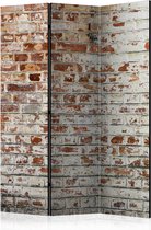 Kamerscherm - Scheidingswand - Vouwscherm - Walls of Memory [Room Dividers] 135x172 - Artgeist Vouwscherm