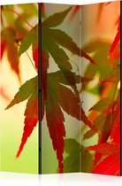 Kamerscherm - Scheidingswand - Vouwscherm - Colourful leaves [Room Dividers] 135x172 - Artgeist Vouwscherm