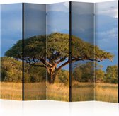 Kamerscherm - Scheidingswand - Vouwscherm - African acacia tree, Hwange National Park, Zimbabwe II [Room Dividers] 225x172 - Artgeist Vouwscherm