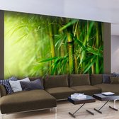 Artgeist - Fotobehang - jungle - bamboo