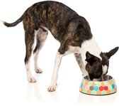 FUZZYARD The Hive M - 13 x 6 cm - Voor hond