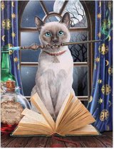 Lisa Parker canvas wanddecoratie Hocus Pocus fantasie afbeelding kat met toverstaf voor open boek