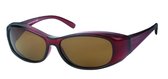 IZZLE Overzetbril Zonnebril FO-001 - Dames/Heren - Polariserend - UV400 - Bruin montuur/Gekleurd glas