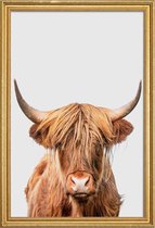 JUNIQE - Poster met houten lijst Highland Cow -60x90 /Bruin