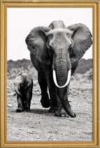 JUNIQE - Poster met houten lijst Olifantenfamilie -20x30 /Grijs