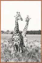 JUNIQE - Poster met kunststof lijst Giraffenpaar -13x18 /Grijs & Wit