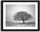 Foto in frame , Eenzame boom in de winter ​, 70x100cm , Zwart wit  , Premium print