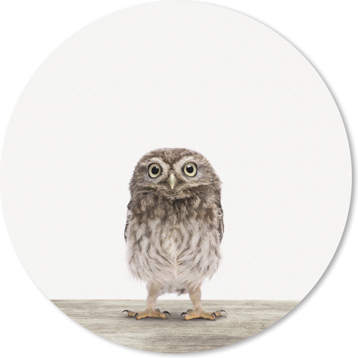 Muismat Animalprintshop - Uilskuiken dierenprint Muismat rond - 30x30 cm - Muismat met foto