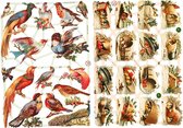 Vintage plaatjes. vogels. 16.5x23.5 cm. 2 vel/ 1 doos