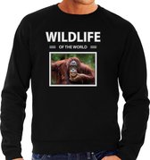 Dieren foto sweater Aap - zwart - heren - wildlife of the world - cadeau trui Orang oetan apen liefhebber L