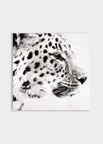 Poster Light Leopard ² - Plexiglas - Meerdere Afmetingen & Prijzen | Wanddecoratie - Interieur - Art - Wonen - Schilderij - Kunst