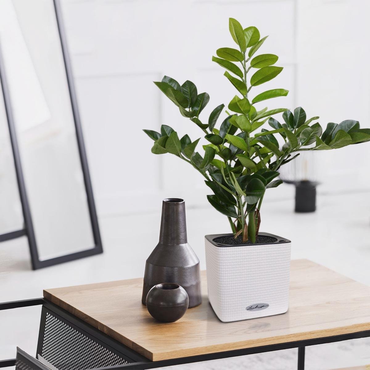 Maxifleur Plante artificielle Zamioculcas 55 cm