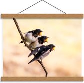 Schoolplaat – Jonge Zingende Vogeltjes - 40x30cm Foto op Textielposter (Wanddecoratie op Schoolplaat)