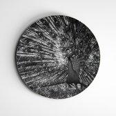Muurcirkel pauw zwart wit | Exclusive Animals | wanddecoratie - 120x120cm