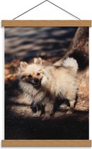 Schoolplaat – Hond in het Bos - 30x40cm Foto op Textielposter (Wanddecoratie op Schoolplaat)